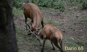 12112072 761286837308793 7416330483212368115 n