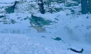 386774e3 56e9 4a52 9e1d 7e0e8d4c7160 V2F 2025 01 12 16 08 19 428