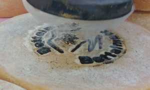 43433383 2127745174106525 1748301317266210816 n