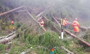 45166274 658396747887523 7655752417408974848 o