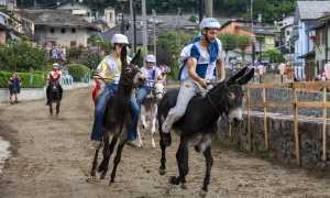 455257208 507067758535173 8091077826235075913 n