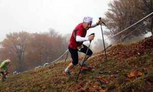 464085272 10230678628662910 3805270320444100380 n