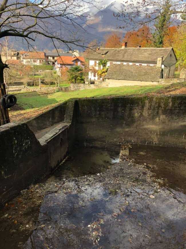 46524218 1771697419620058 4476187681503576064 n