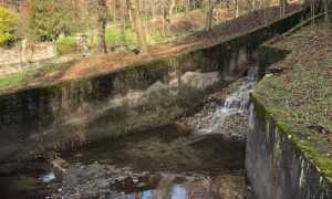 46648853 1771697506286716 3042795870346018816 n