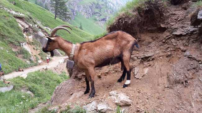 491487835 2266846750377716 8277707474205068958 n