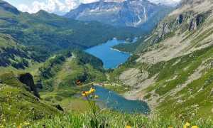 491977884 1007467734863608 6317955557124027330 n