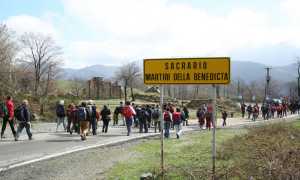 800 benedicta