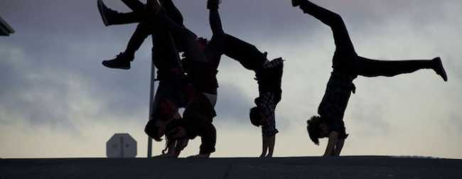 9head vrille du chat