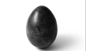 Copertina Luovo di legno