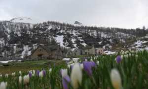 Crochi Alpe Veglia