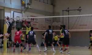 Domo Pavic 1