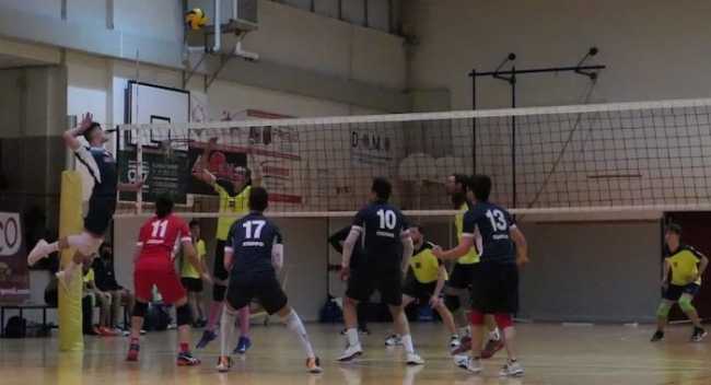 Domo Pavic 1