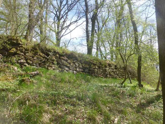 Fretterode Trockenmauer 2