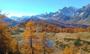 GUXTEVvSHWqRNds 800x450 noPad