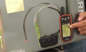 IMG 20190924 WA0029