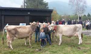 IMG 20191006 WA0009