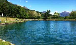 IMG 20220512 WA0001