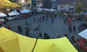 IMG 3424