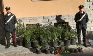 IMG 4821