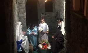 IMG 5497