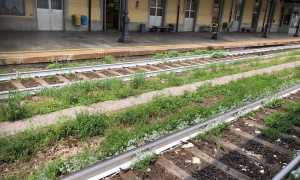 IMG 7833
