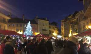 IMG 8637