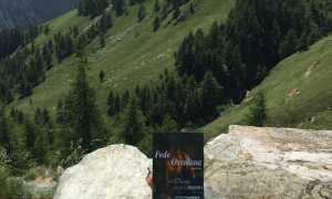 IMG 8935
