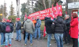 IMG 8961
