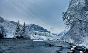 MUTZ Winter