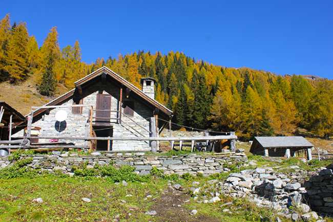 Montecrestese baita rifugio campo1