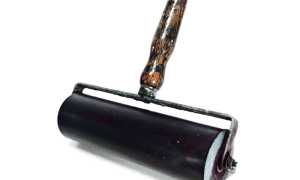 PHOTO 2024 02 10 09 32 18