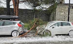 PHOTO 2024 03 10 16 05 30