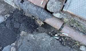 PHOTO 2024 12 31 14 46 19