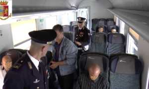 Polfer Treno