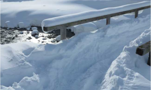 Schermata 2018 02 23 alle 13.32.37