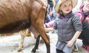 Schermata 2018 03 24 alle 11.13.08