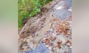 Schermata 2018 11 07 alle 09.33.08