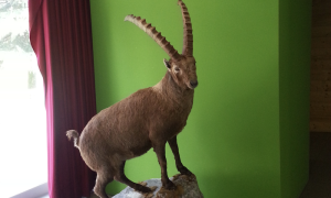 Schermata 2019 04 18 alle 13.20.31