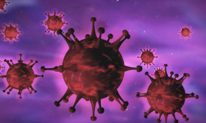 Schermata 2023 02 11 alle 08.43.02