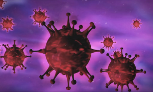 Schermata 2023 02 24 alle 16.02.21