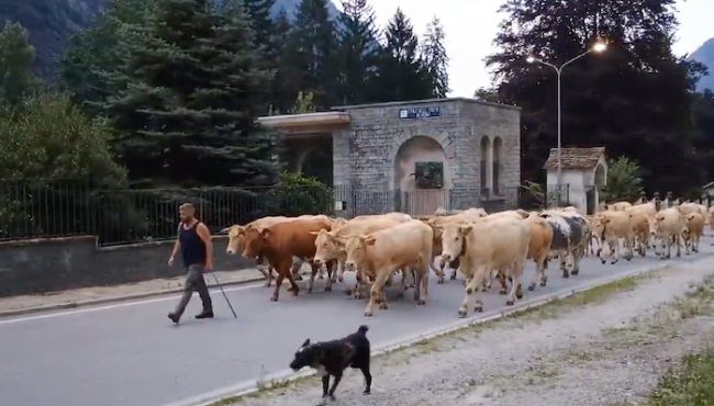 Schermata 2024 07 06 alle 10.16.23