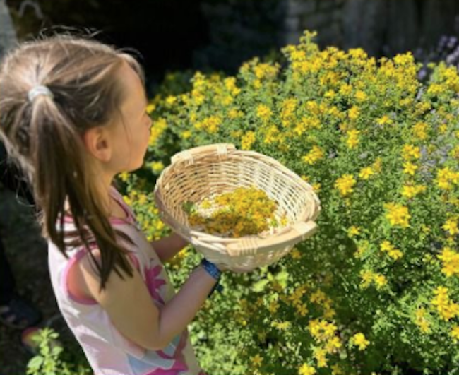 Schermata 2024 08 04 alle 11.09.00