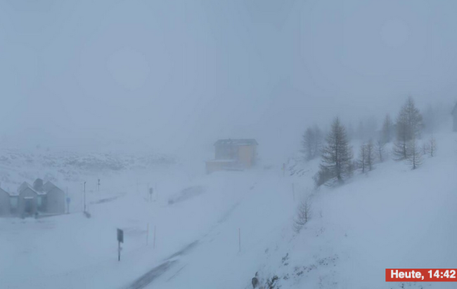 Schermata 2024 11 21 alle 14.55.13