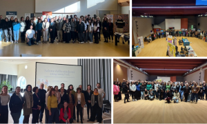 Schermata 2024 12 17 alle 12.00.33