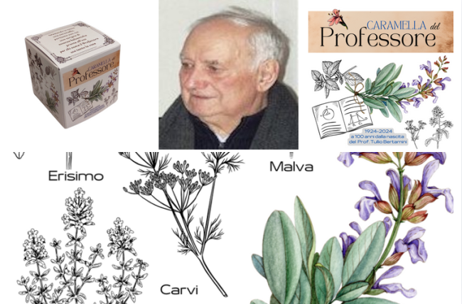 Schermata 2025 01 13 alle 10.10.12