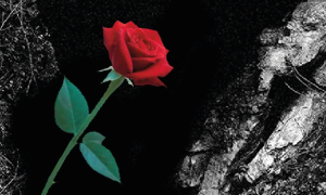 Schermata 2025 02 03 alle 11.24.52