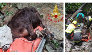 Schermata 2025 06 09 alle 07.15.34