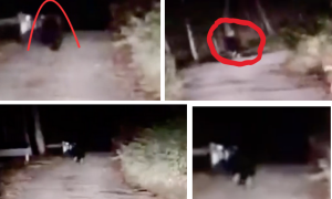 Schermata 2025 11 03 alle 12.07.10