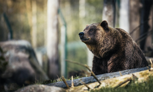 Screenshot 2024 11 11 alle 18.21.12