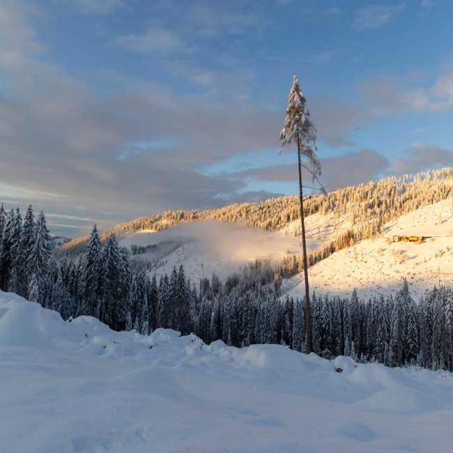 Suoni e segni di Vaia Roberto Besana
